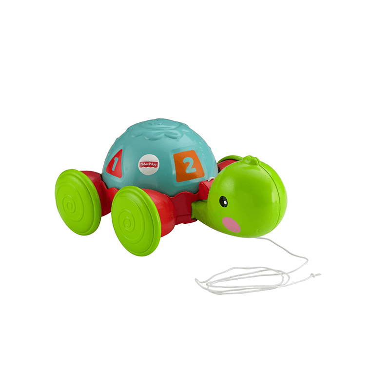 Mattel Fisher Price Y8652 Tortuga De Aprendizaje
