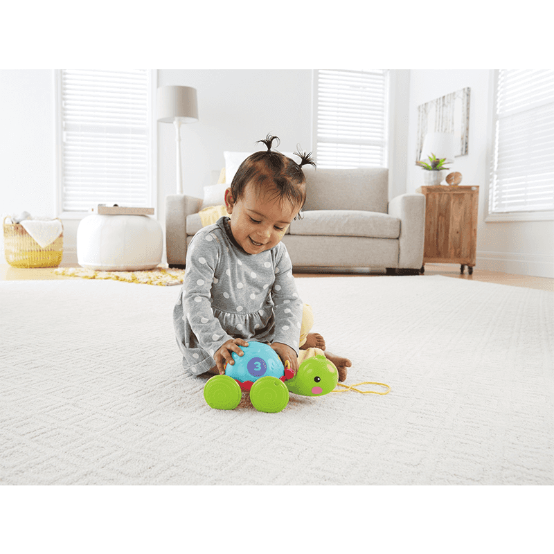 Mattel Fisher Price Y8652 Tortuga De Aprendizaje