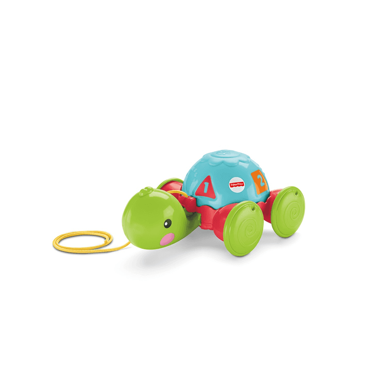 Mattel Fisher Price Y8652 Tortuga De Aprendizaje