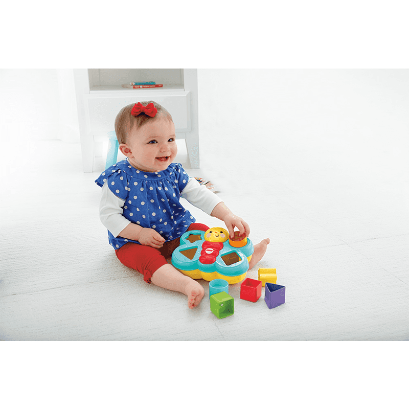 Mattel Fisher Price CDC22 Mariposa Con Cubos Para Encajar