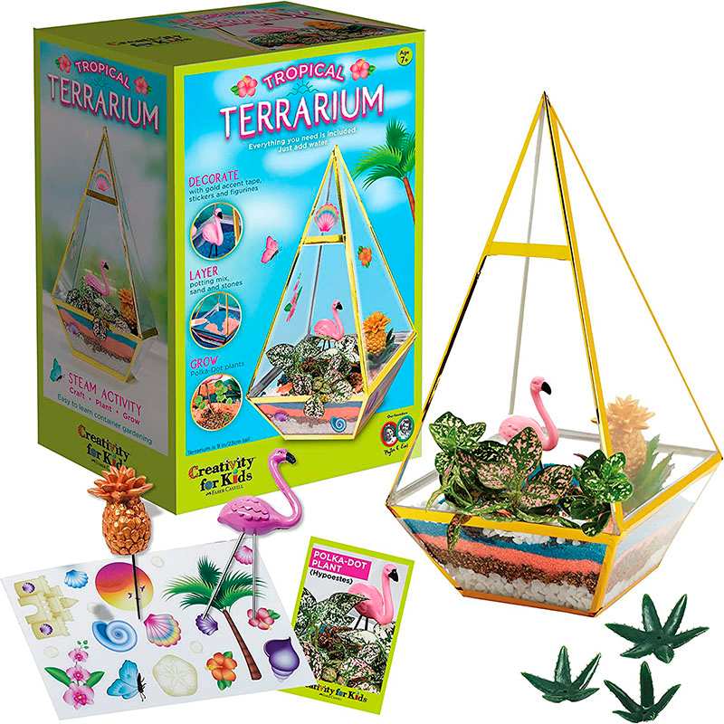 Creativity For Kids 6322000 Kit De Artesania Terrario Tropical