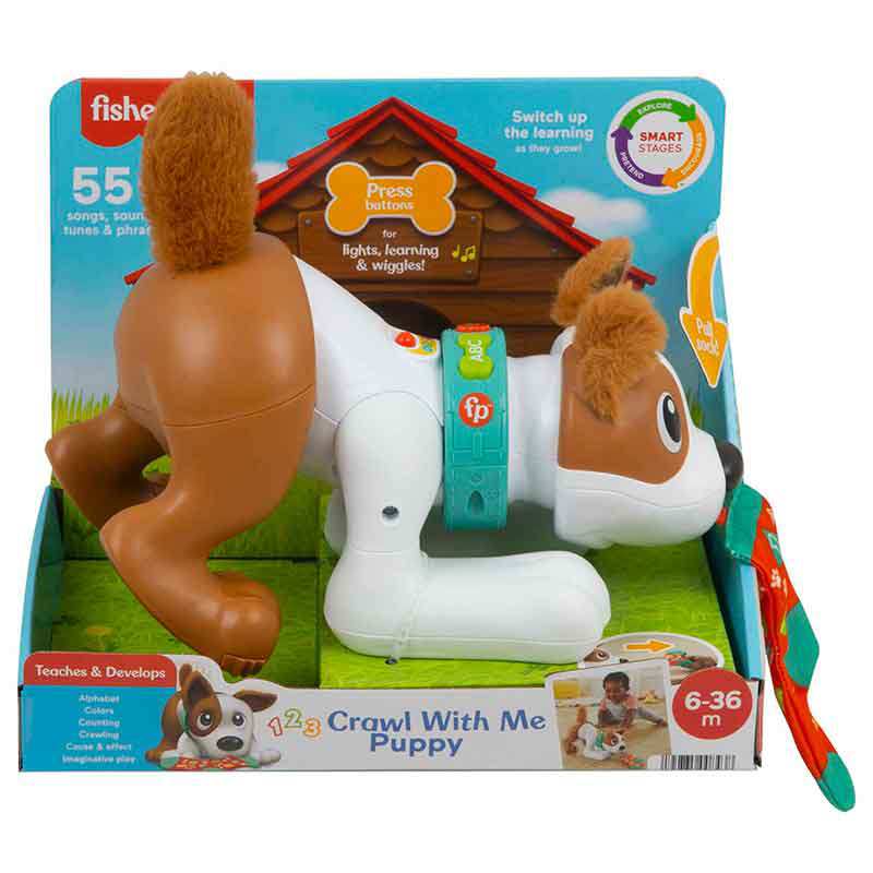 Mattel Fisher Price Hgy56 Cachorro De Aprendizaje Primeros Gateos