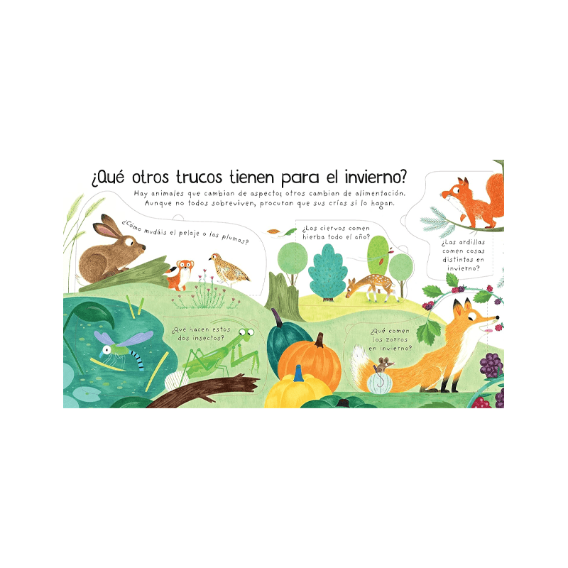 Libro Mis Primeras Preguntas ¿Adónde Van Los Animales En Invierno?