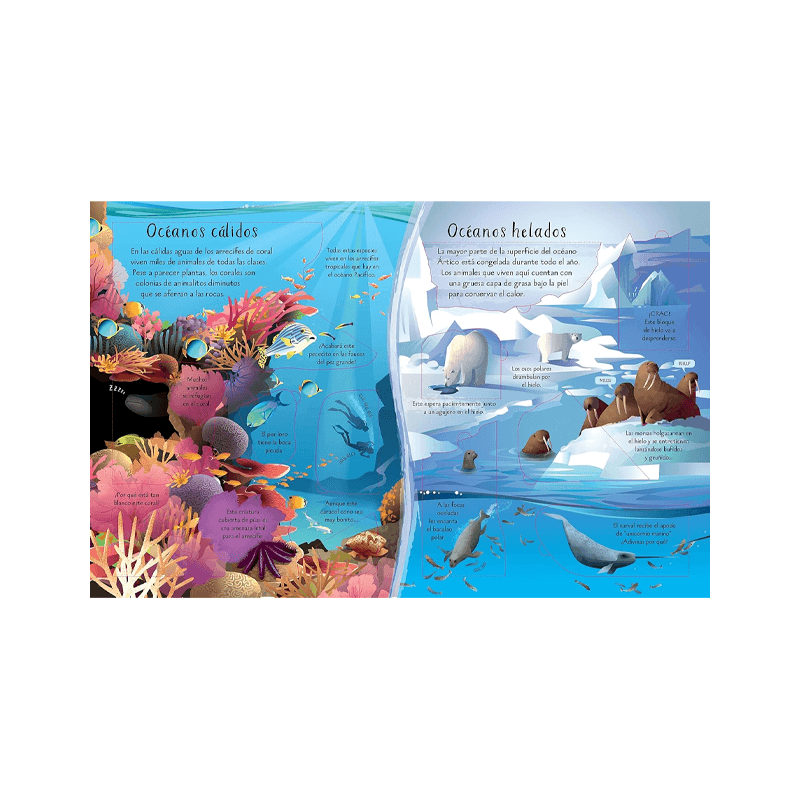 Libro Conoce Por Dentro: Los Oceanos
