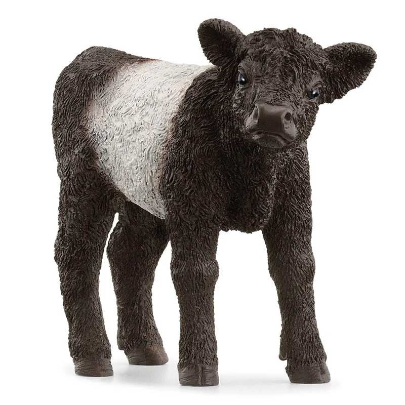 Schleich  13969 Ternero Galloway