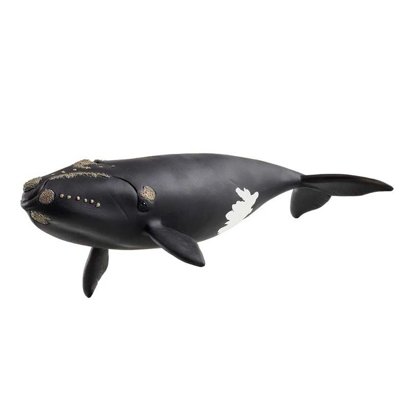 Schleich  14878 Ballena Franca Glacial