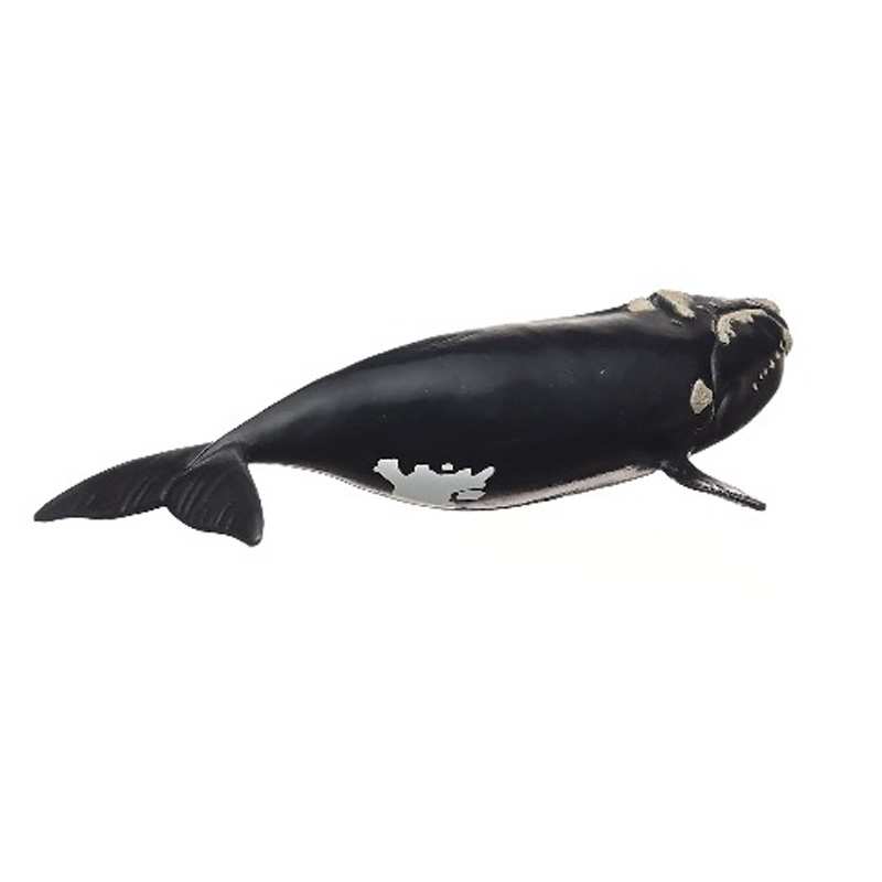 Schleich  14878 Ballena Franca Glacial