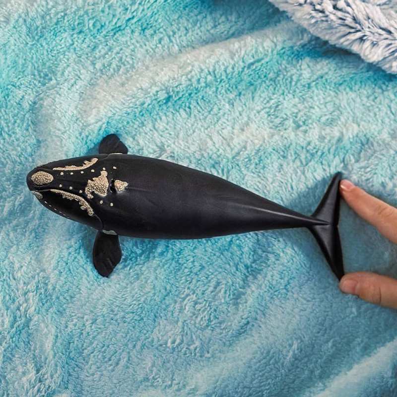 Schleich  14878 Ballena Franca Glacial