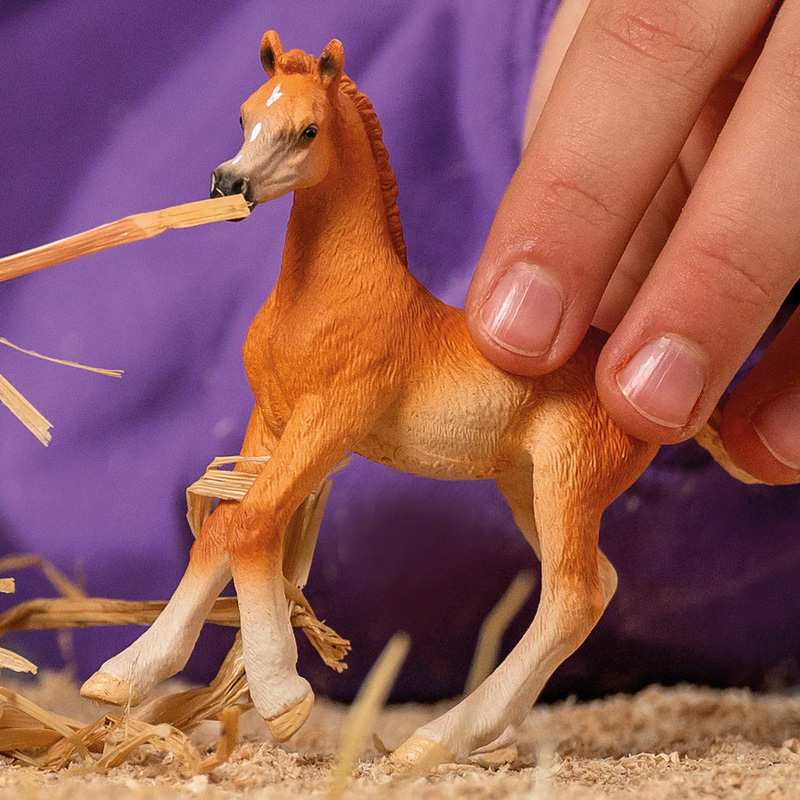 Schleich  13984 Potrillo Arabe
