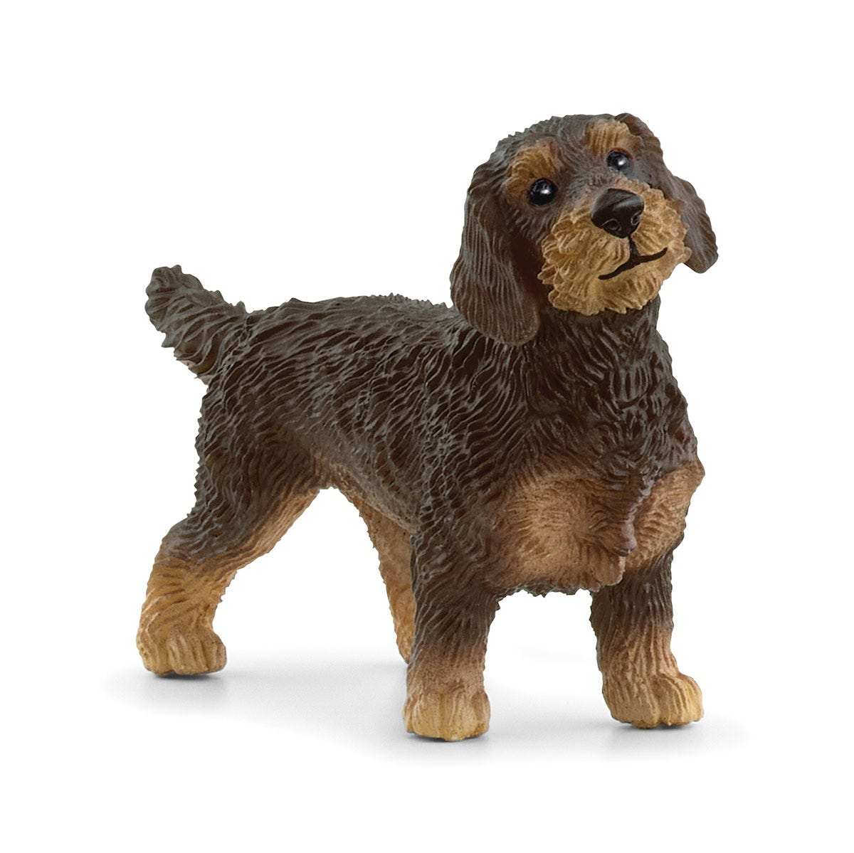 Schleich  13972 Perro Salchicha De Pelo Duro