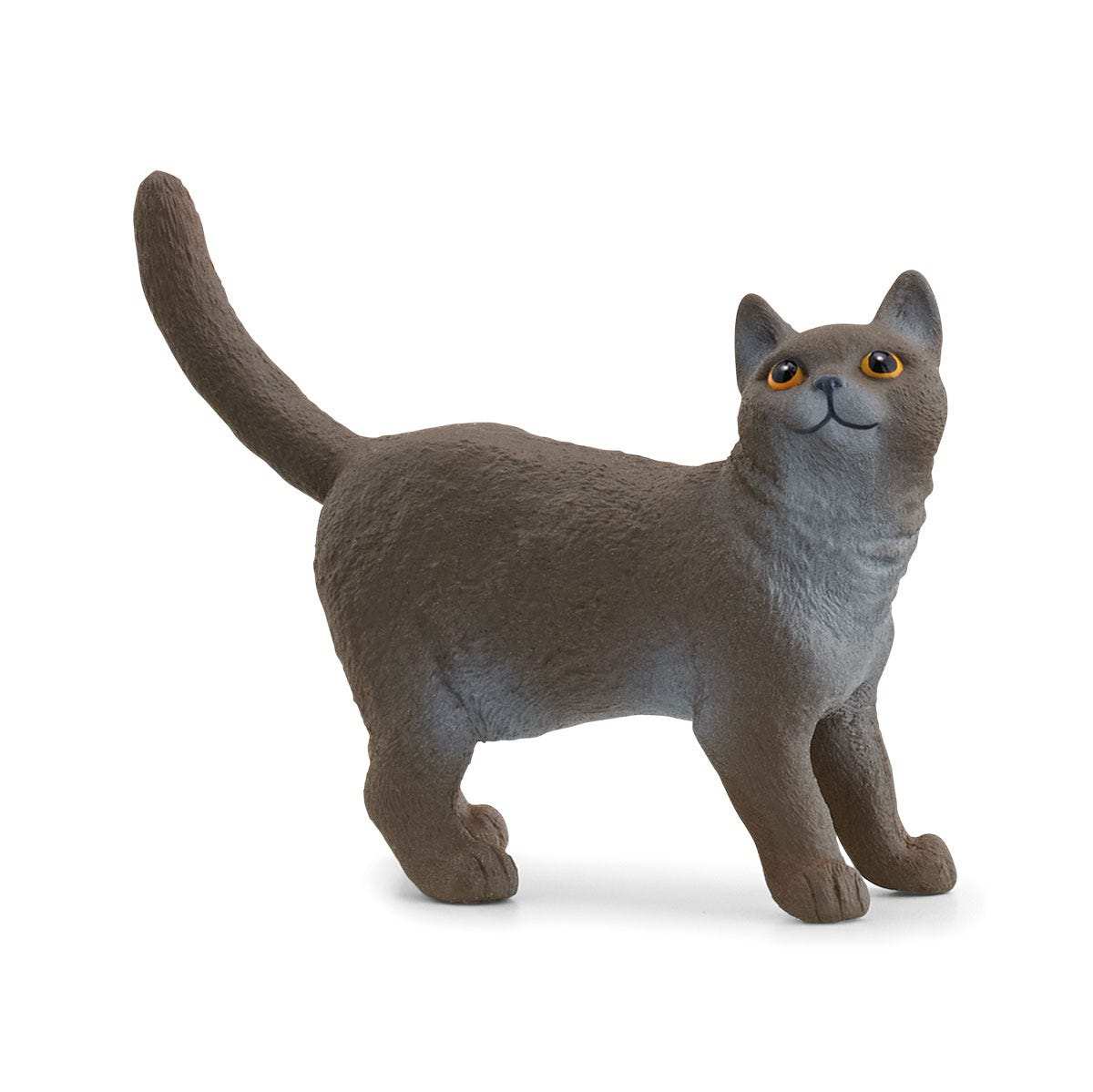 Schleich  13973 Gato Britanico De Pelo Corto
