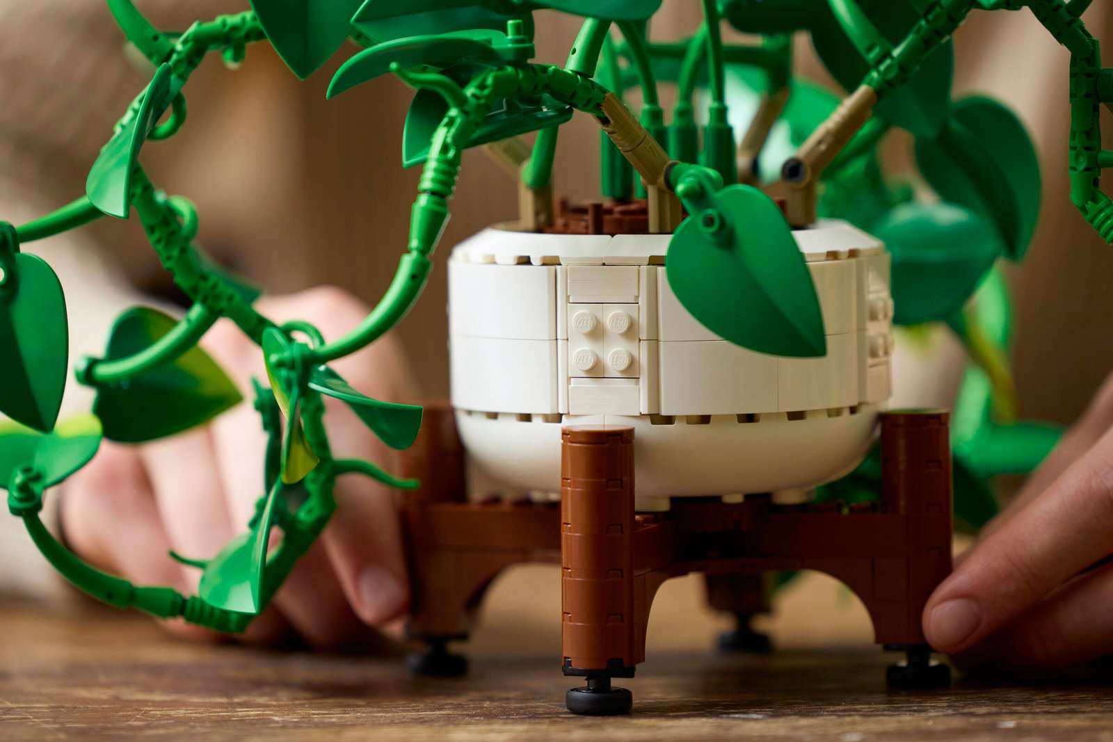 Lego Botanicals 11512 Poto Dorado Colgante (3)