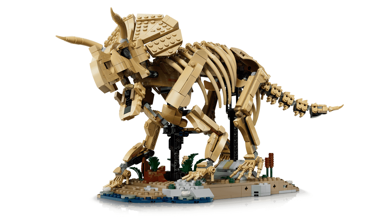Lego Jurassic World 77985 Fosiles De Dinosaurio Triceraptops (4)