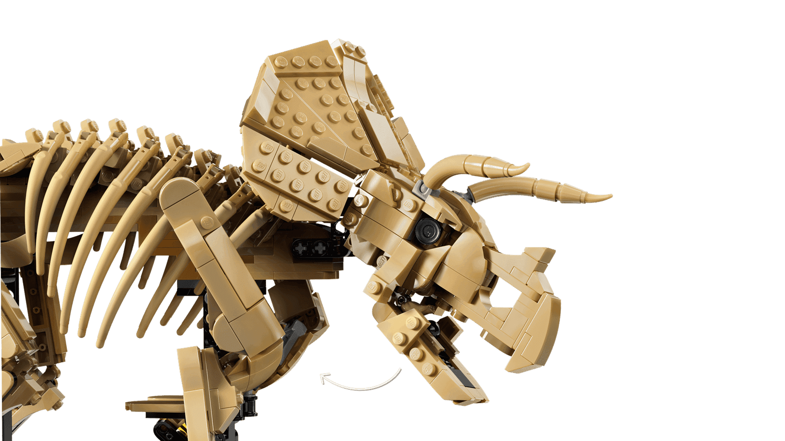 Lego Jurassic World 77985 Fosiles De Dinosaurio Triceraptops (5)