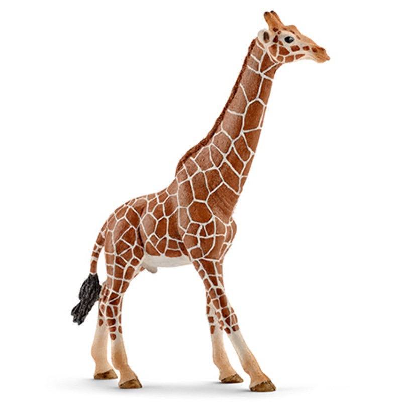 Schleich Vida Salvaje 14749 Jirafa Macho