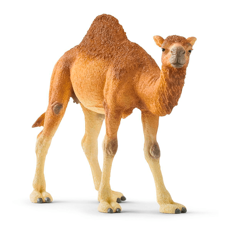 Schleich Wild Life 14832 Dromedario