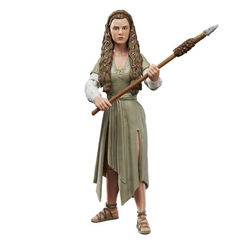 HASBRO Star Wars F43525X00 Black Series Buffalo