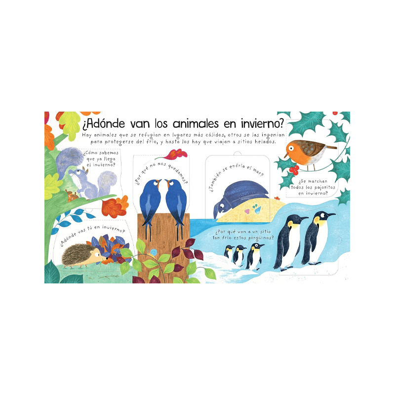 Libro Mis Primeras Preguntas ¿Adónde Van Los Animales En Invierno?