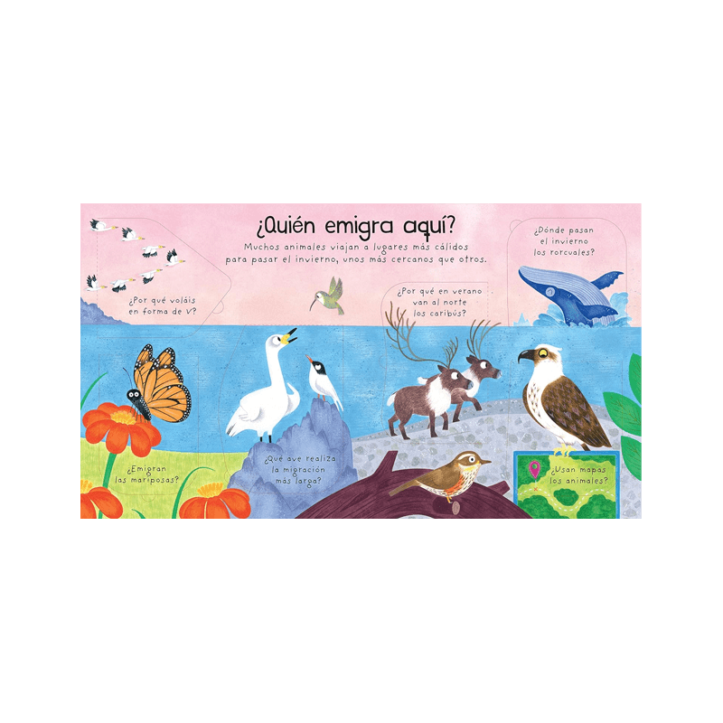 Libro Mis Primeras Preguntas ¿Adónde Van Los Animales En Invierno?