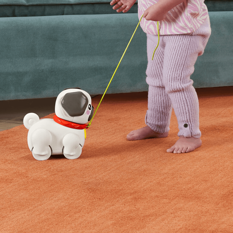 Mattel Fisher Price Htw94 Perro De Paseo