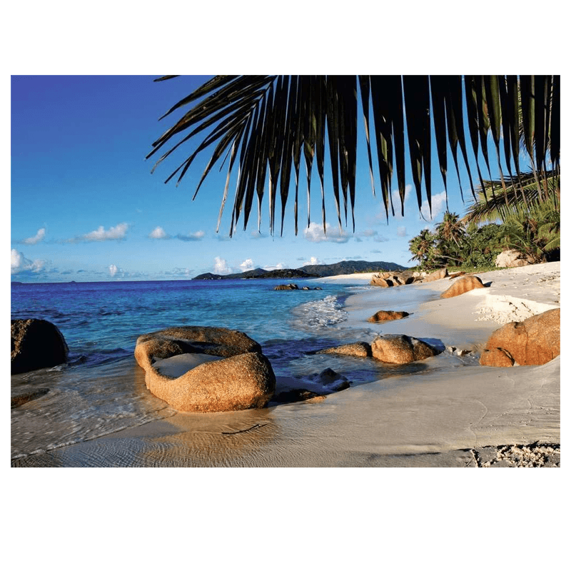 Ravensburger Rompecabezas 12000641 Bajo Las Palmas 1000 Piezas