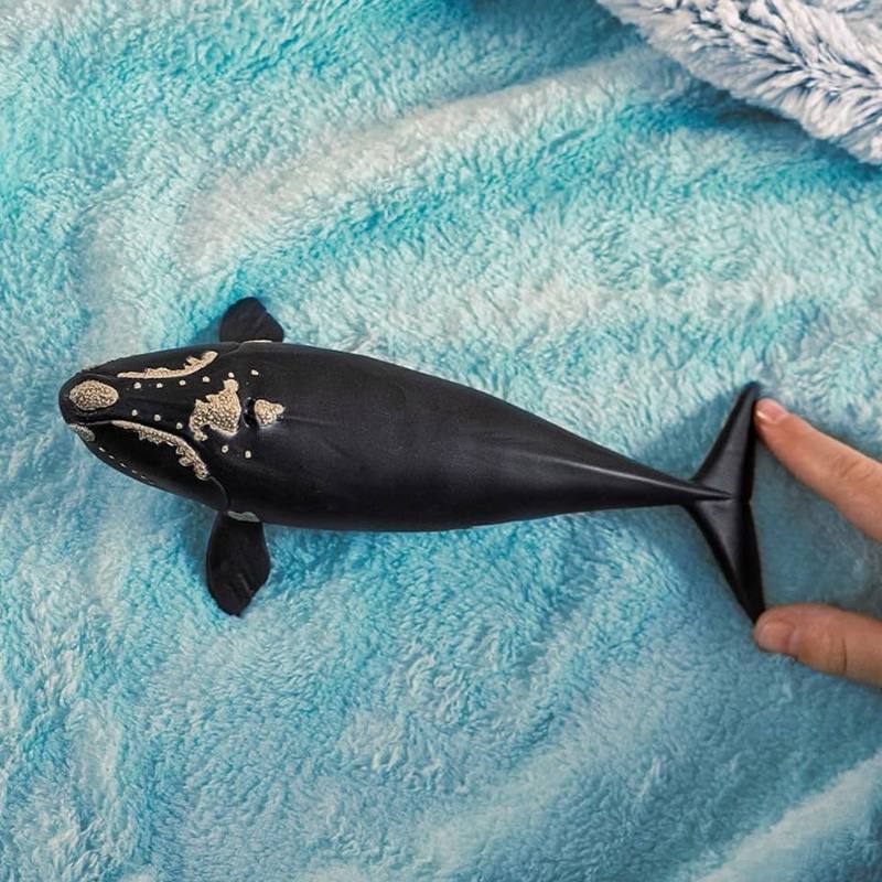 Schleich  14878 Ballena Franca Glacial
