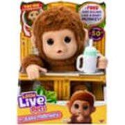 Moose Little Live Pets 26729 Little Live Pets My Baby Mini Monkey