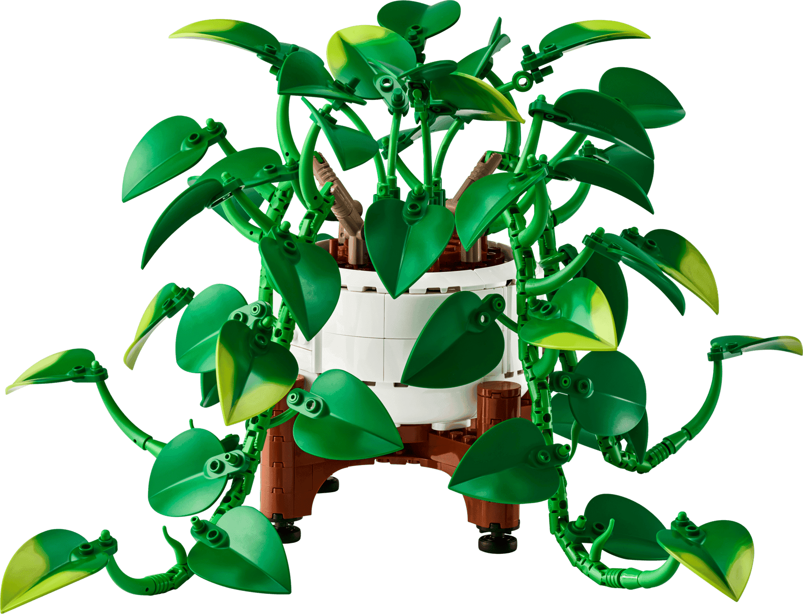 Lego Botanicals 11512 Poto Dorado Colgante