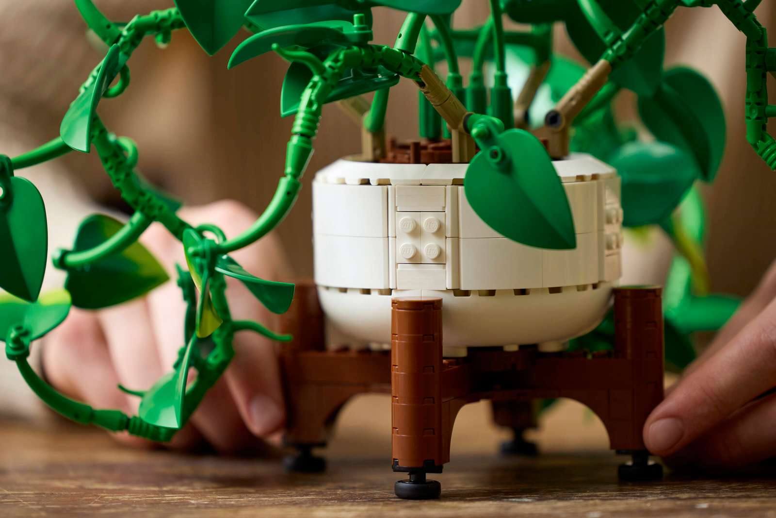 Lego Botanicals 11512 Poto Dorado Colgante (3)