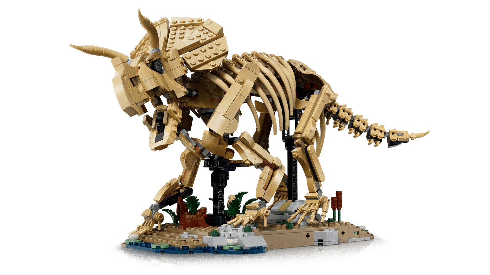 Lego Jurassic World 77985 Fosiles De Dinosaurio Triceraptops (4)