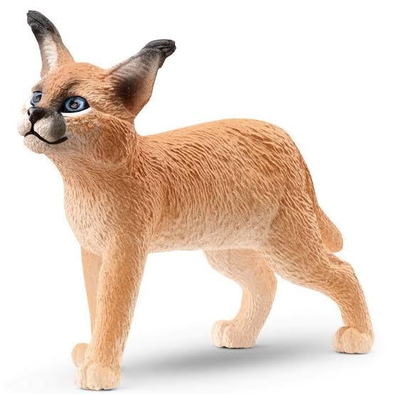 Schleich  14868 Cachorro Caracal