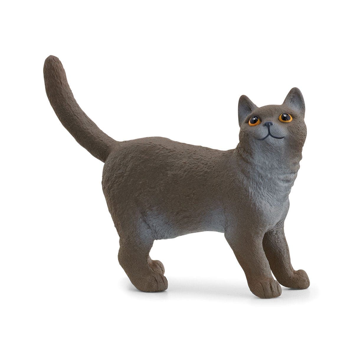 Schleich 13973 Gato Britanico De Pelo Corto