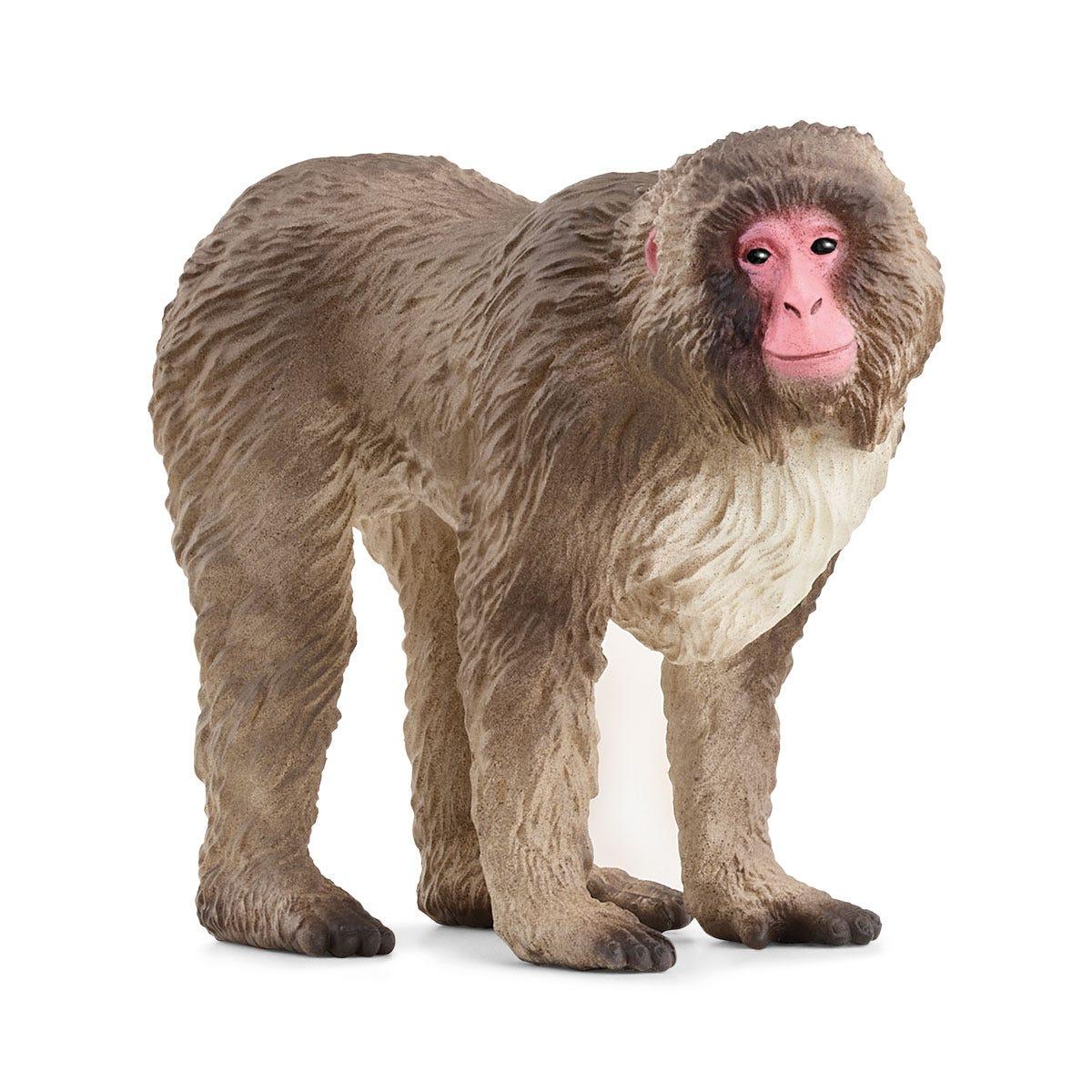 Schleich 14871 Macaca Japones