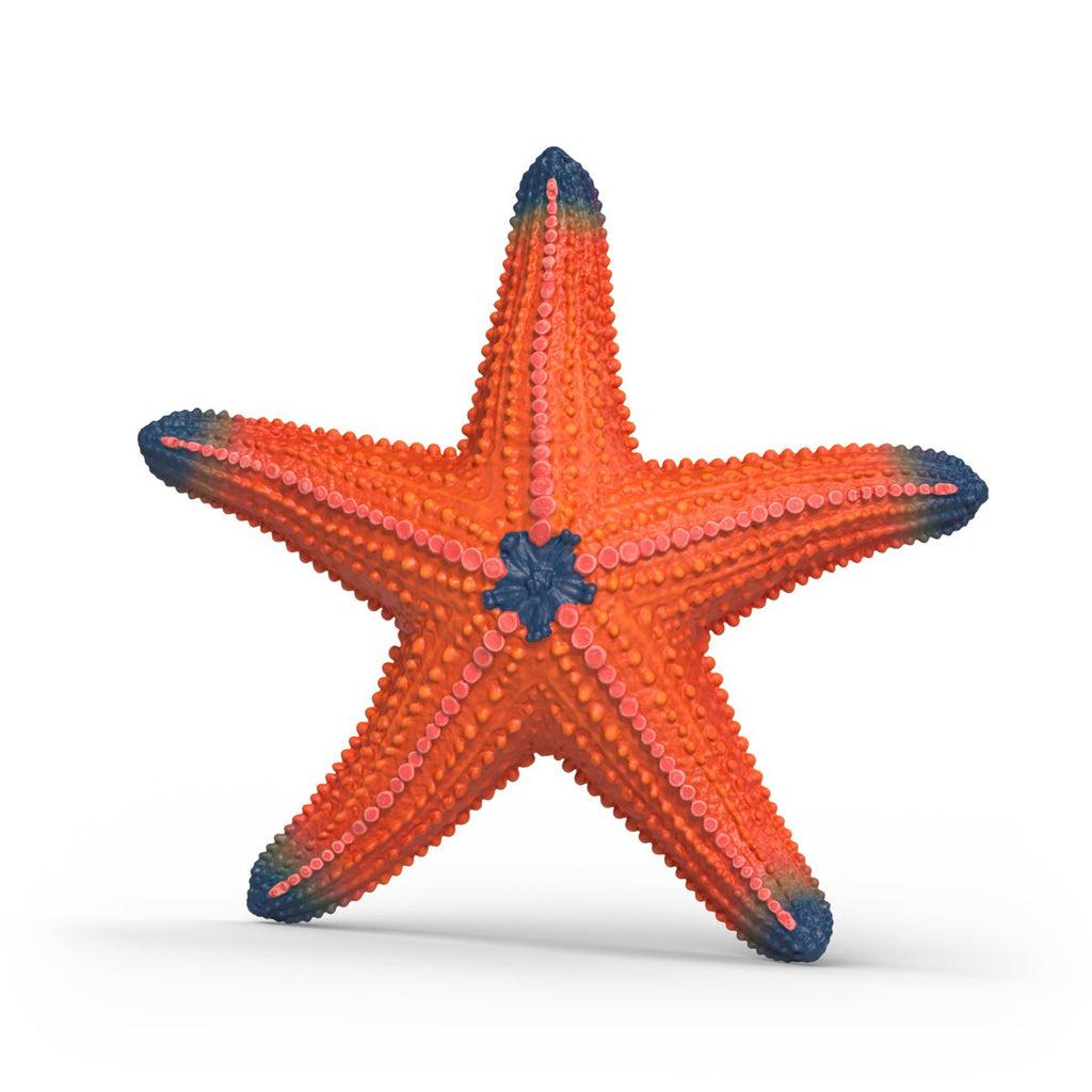 Schleich 14902 Estrella De Mar Con Cambio De Color