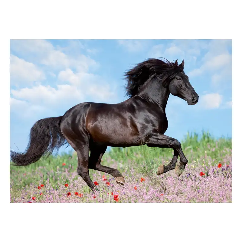 Ravensburger Rompecabeza Para Niño 2D 12803 7 Majestuosos Caballos 200 Piezas Xxl