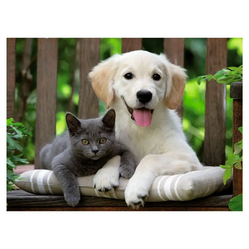 RAVENSBURGER FRIENDLY OPPOSITES 142347