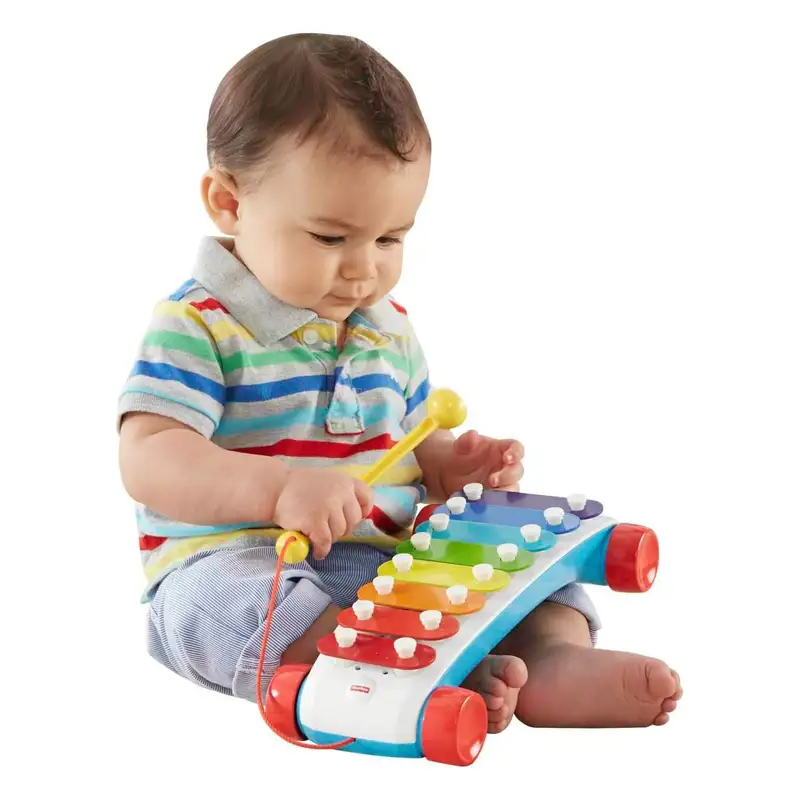 Mattel Fisher Price Cmy09 Xilofono Clasico