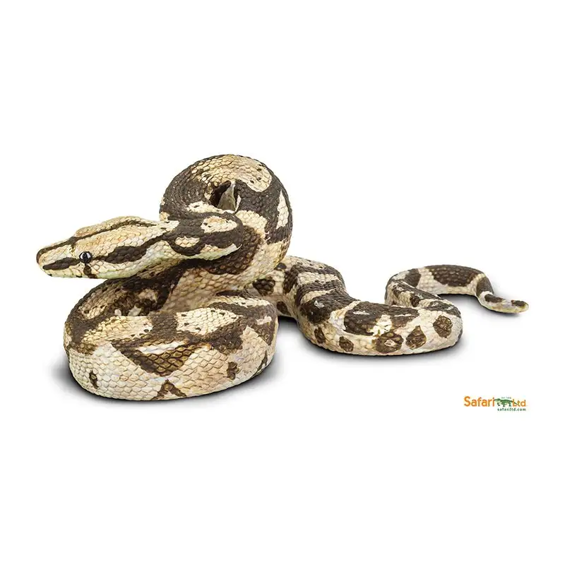 Safari Boa Constrictor 266529