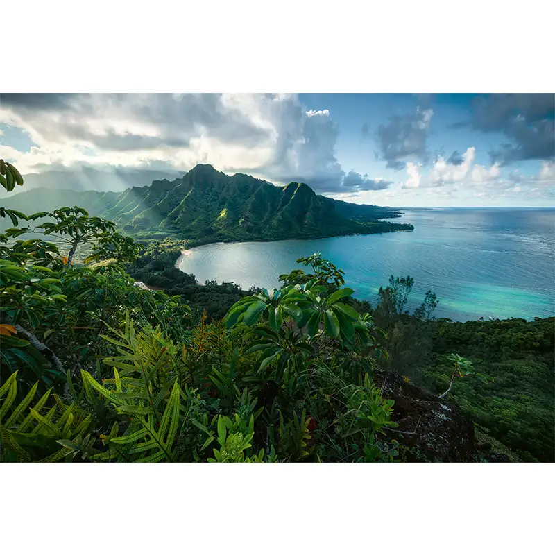 Ravensburger Rompecabezas 161065 Vista Hawaiana