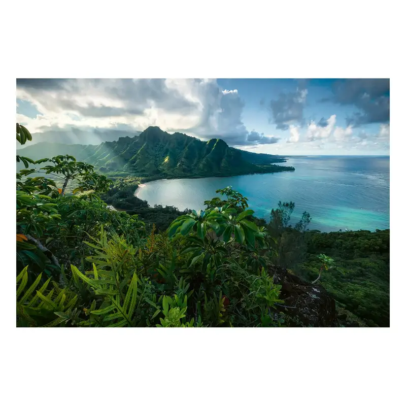 Ravensburger Rompecabezas 161065 Vista Hawaiana