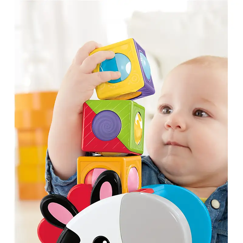 Mattel Fisher Price Cgn63 Zebra Con Cubos De Actividades