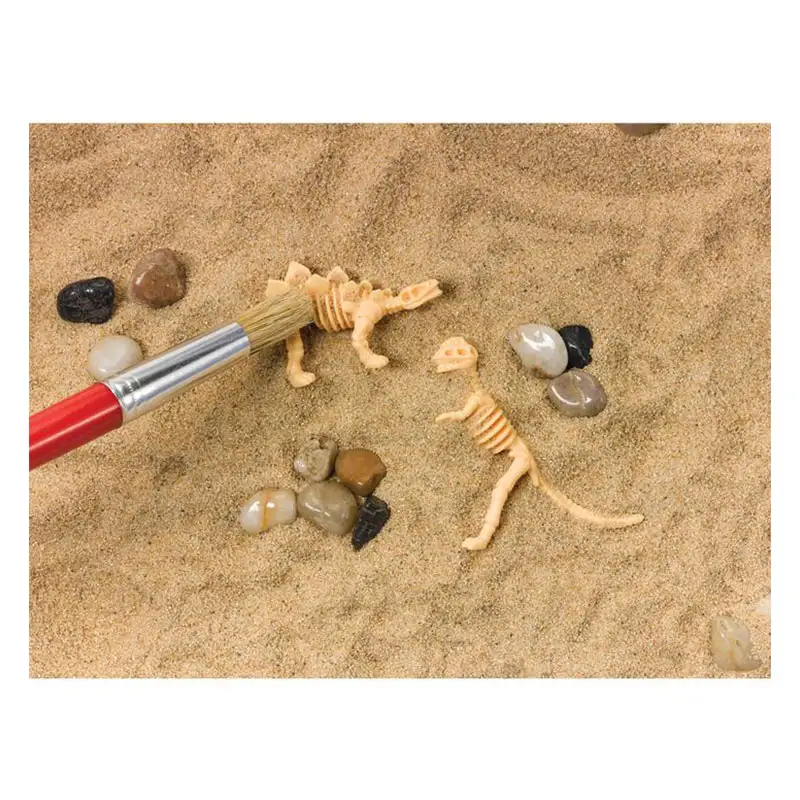 Creativity Fod Kids 6283000 Bote Sensorial Excavacion de Dinosaurios