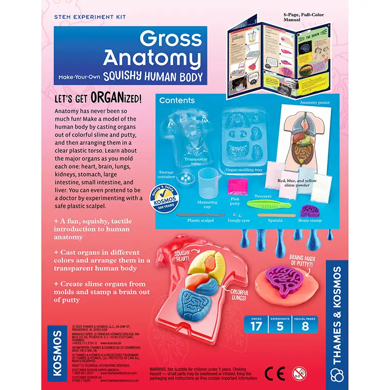 THAMES & KOSMOS STEM 550032 Gross Anatomy: Make-Your-Own Squishy Human Body