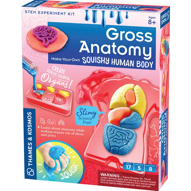 THAMES & KOSMOS STEM 550032 Gross Anatomy: Make-Your-Own Squishy Human Body