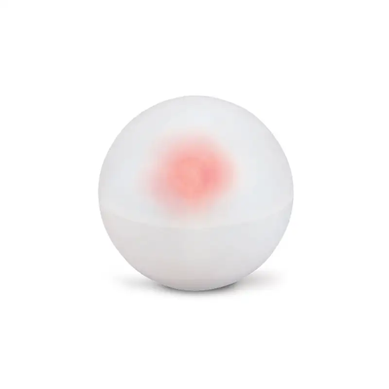 Safari Safariology 100748 Energy Ball