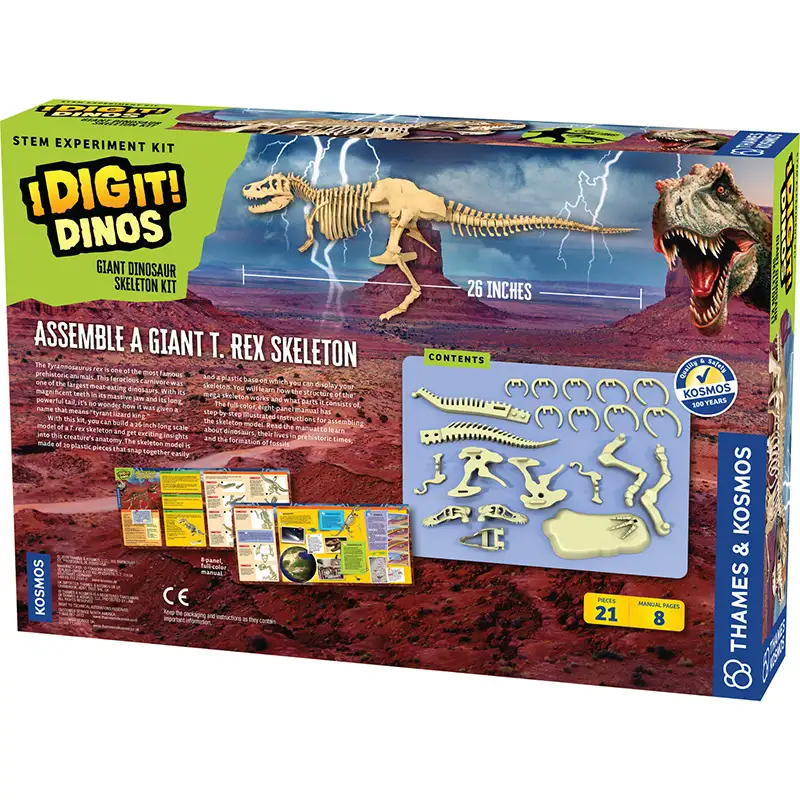 THAMES & KOSMOS STEM 632120 Giant Dinosaur Skeleton Kit