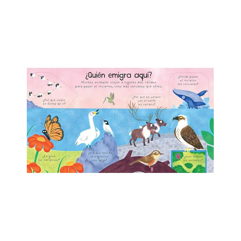 Libro Mis Primeras Preguntas ¿Adónde Van Los Animales En Invierno?