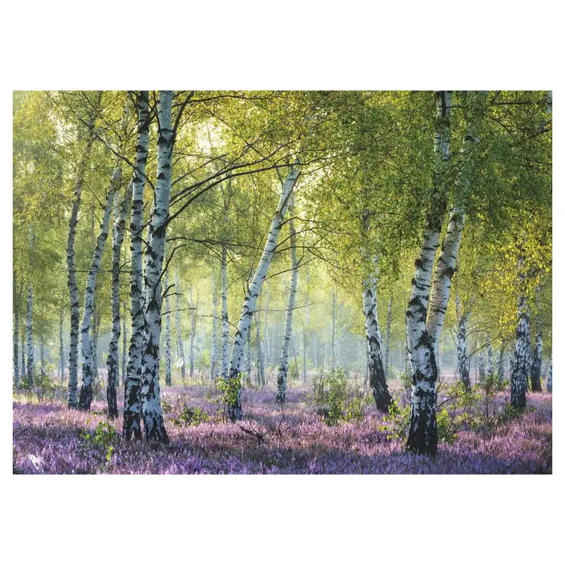 Ravensburger Rompecabezas 12000117 Bosque De Abedules 1000 Piezas