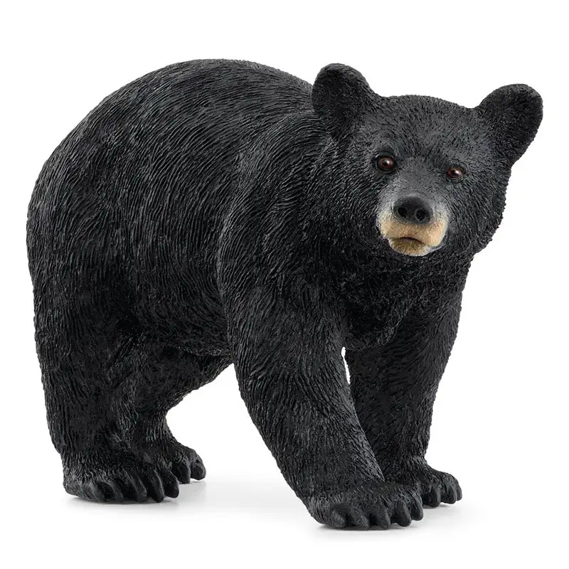 Schleich 14869 Oso Negro Americano