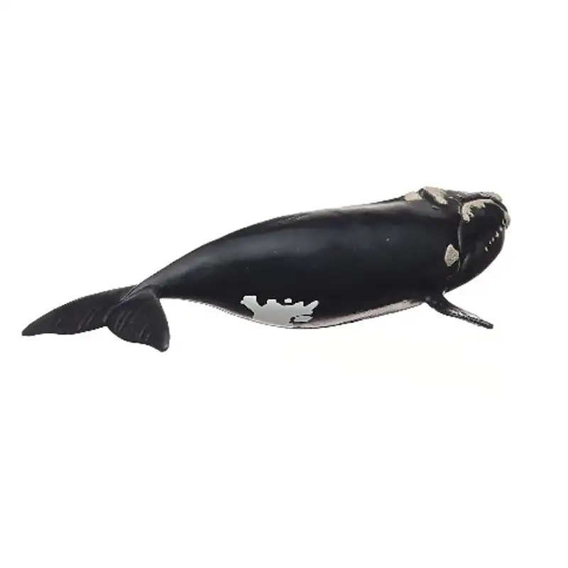 Schleich  14878 Ballena Franca Glacial